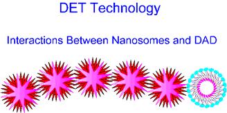 Interactions Between Nanosomes and DAD